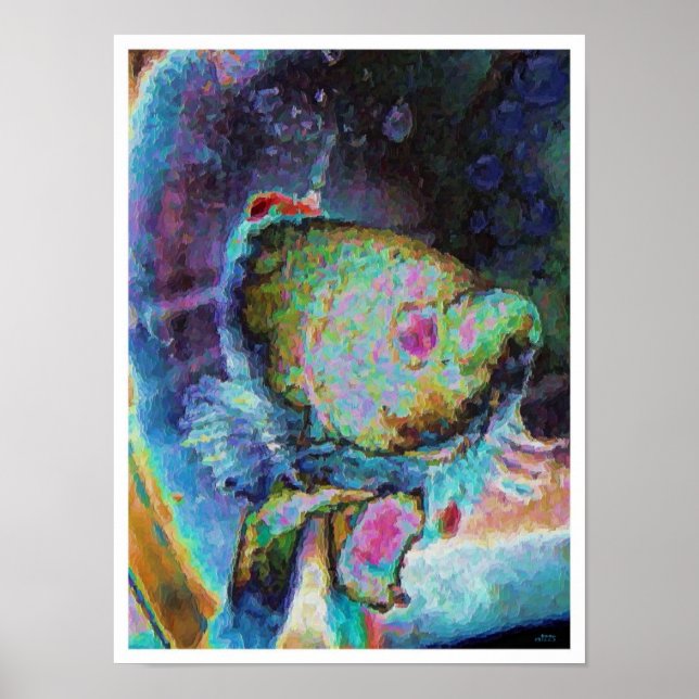 Póster Pescado beta 1 (Frente)