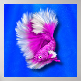 Póster Pescado Betta blanco y rosa caliente