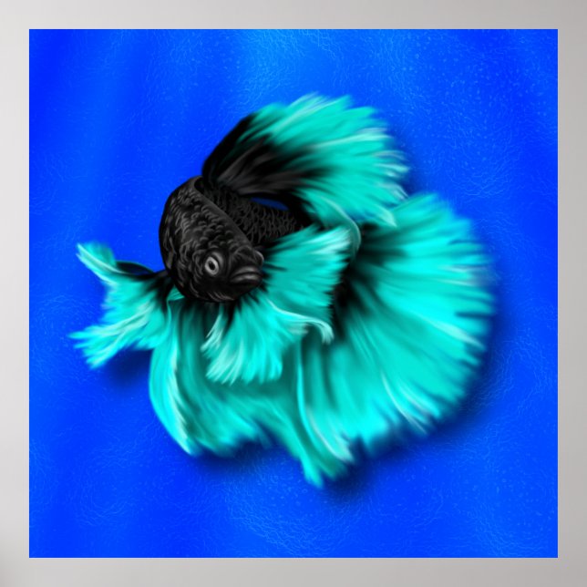 Póster Pescado Betta negro y Verde azulado (Frente)