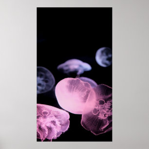 PÓSTER PESCADO BLANCO EN AGUA CON FONDO NEGRO