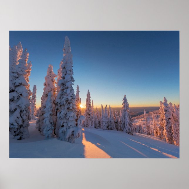 Póster Pescado blanco, Montana (Frente)