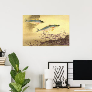Póster Pescado caballa nadando en el océano