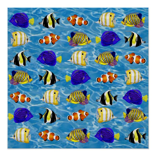 Póster Pescado colorido (Anverso)