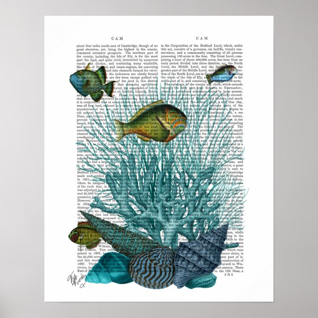 Póster Pescado, conchas azules y corales (Frente)
