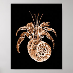 Póster Pescado costero acuático acuarela playa negro