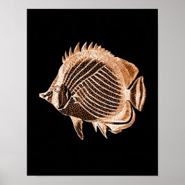Póster Pescado costero mar mar playa mar negro