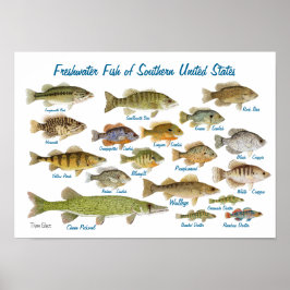 Póster Pescado de agua dulce del sur de Estados Unidos