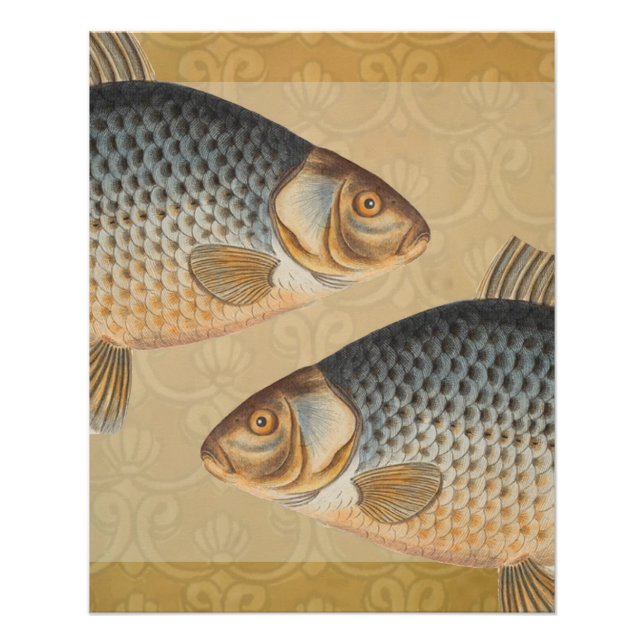 Póster Pescado de carpa pescar pintura de agua dulce (Anverso)
