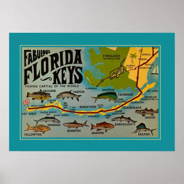 Póster Pescado de Florida Keys (Frente)
