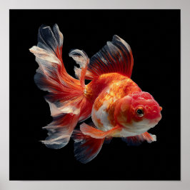 Póster Pescado de oro