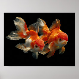 Póster Pescado de oro