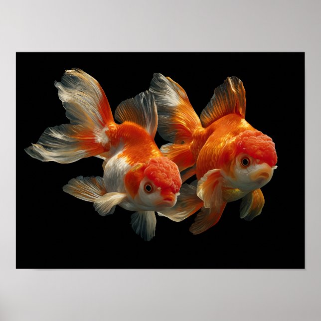 Póster Pescado de oro (Frente)