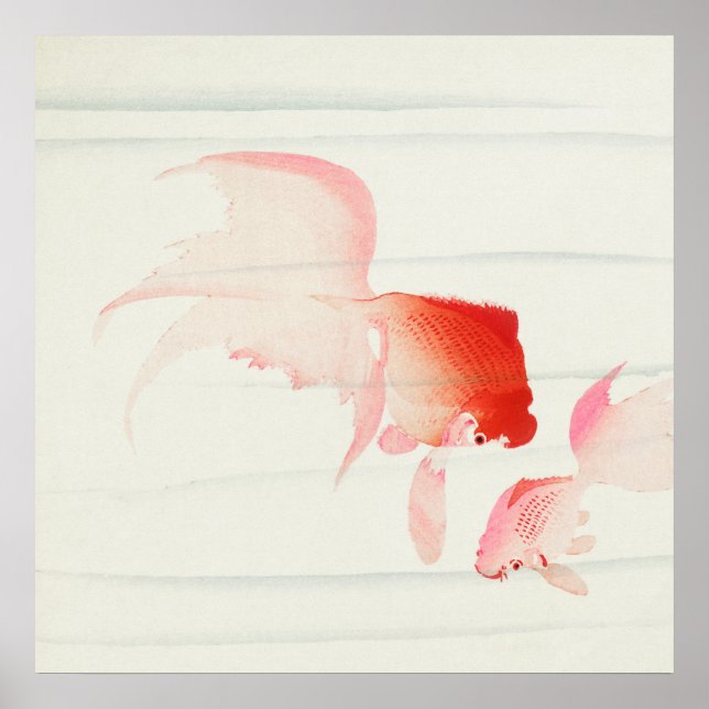 Póster Pescado de oro de Ohara Koson (1900-1936) (Frente)