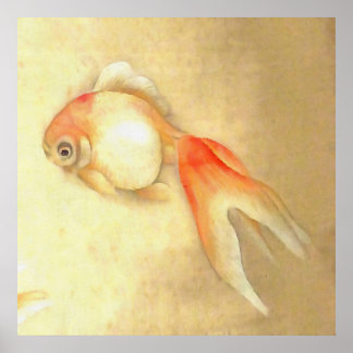 Póster Pescado de oro japonés apacible