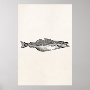 Póster Pescado de polaco vintage - Plantilla de peces acu