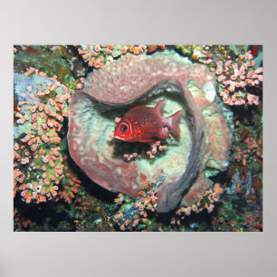 Póster Pescado de soldadura en el corazón