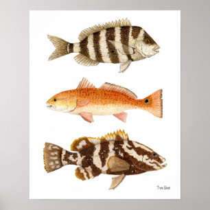 Póster Pescado del agua salada