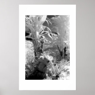 Póster Pescado en el Jardín del Edén