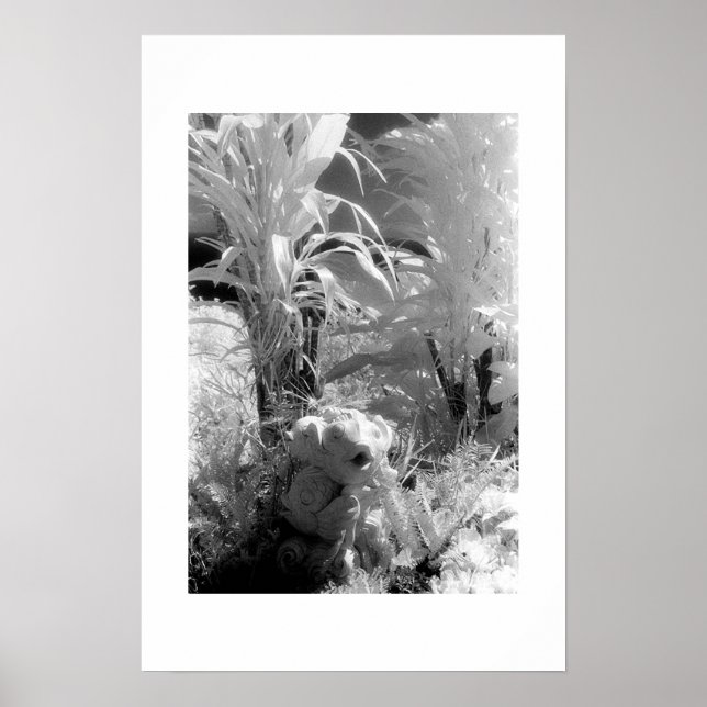 Póster Pescado en el Jardín del Edén (Frente)