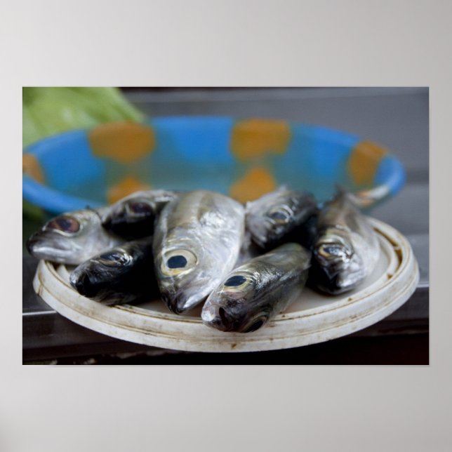Póster Pescado fresco en el mercado de pescado (Mercado d (Frente)