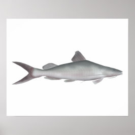 Póster Pescado gigante