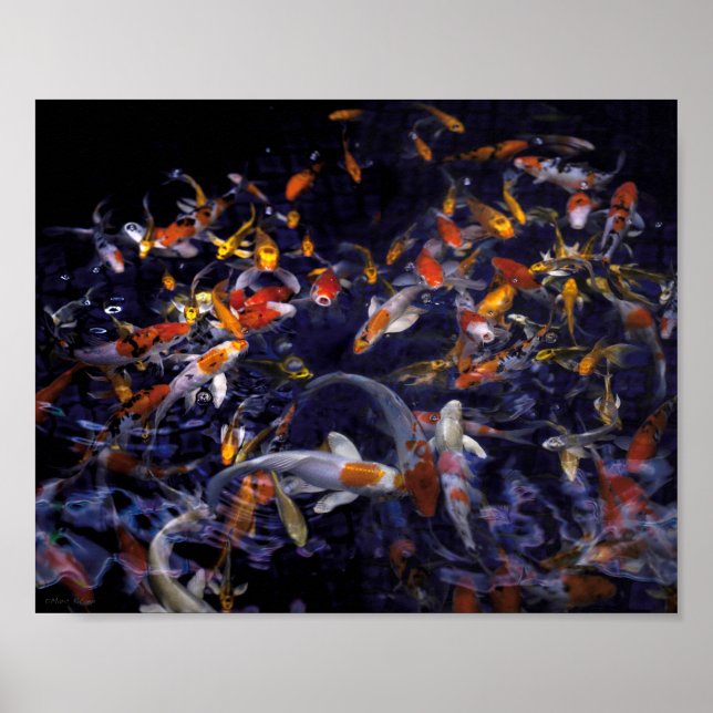 PÓSTER PESCADO KOI SOBRE FLUJO (Frente)