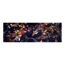 PESCADO KOI SOBRE FLUJO