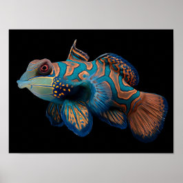 Póster Pescado mandarín