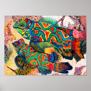 Póster Pescado mandarín - acuarela