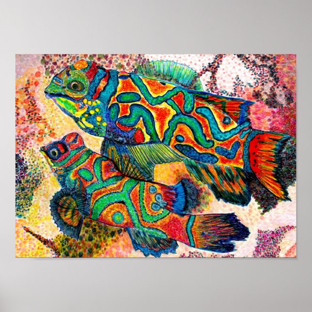 Póster Pescado mandarín - acuarela (Frente)