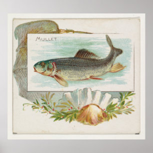 Póster Pescado mixto del Atlántico (1889)