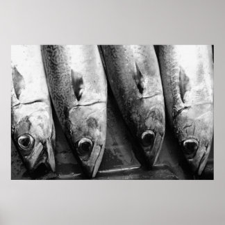 Póster Pescado oculto en blanco y negro