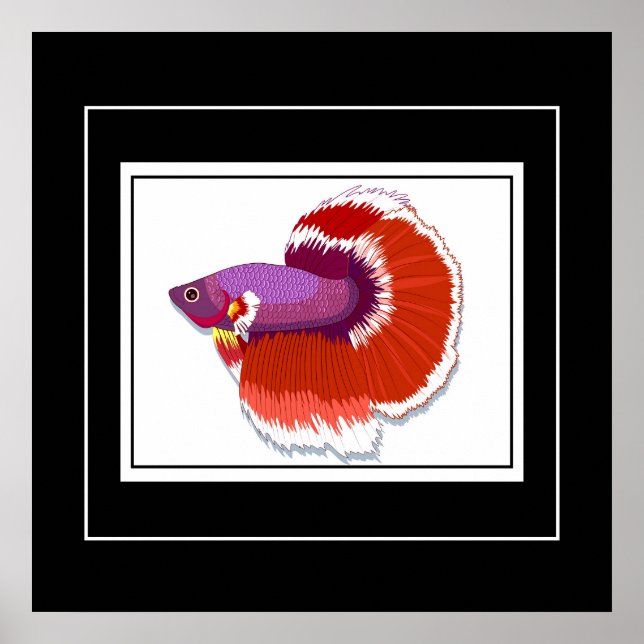 Póster Pescado poster-tropical (Frente)