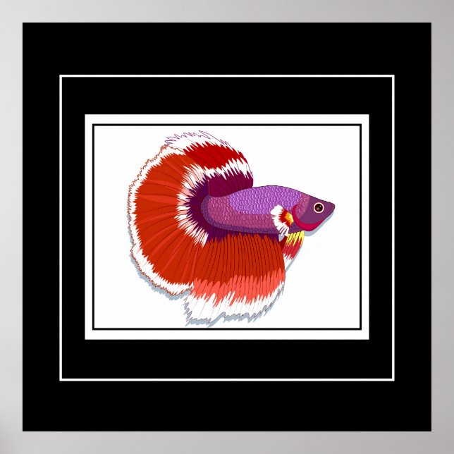 Póster Pescado poster-tropical (Frente)