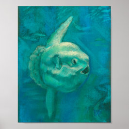 Póster Pescado solar, Mola Mola Ocean Underwater Animals