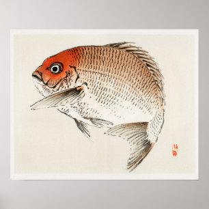 Póster Pescado tai (marino rojo) por Kōno Bairei (1844-18