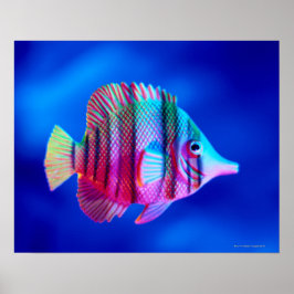 Póster Pescado tropical