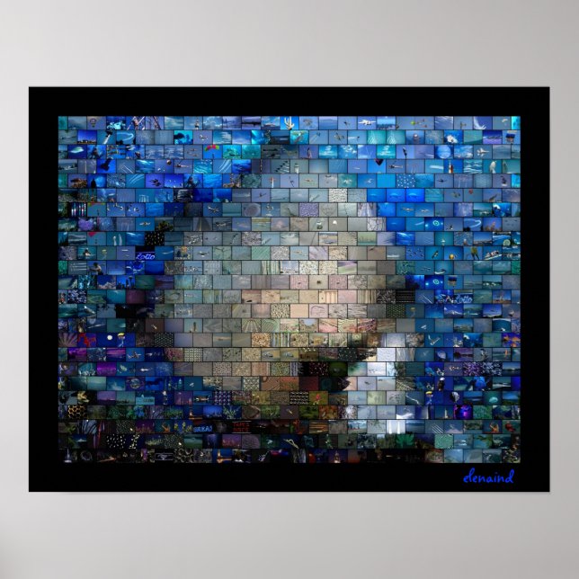 Póster Pescado tropical 2 Poster mosaico (Frente)