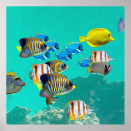 Póster Pescado Tropical Colorido Cruzando Un Arrecife De 