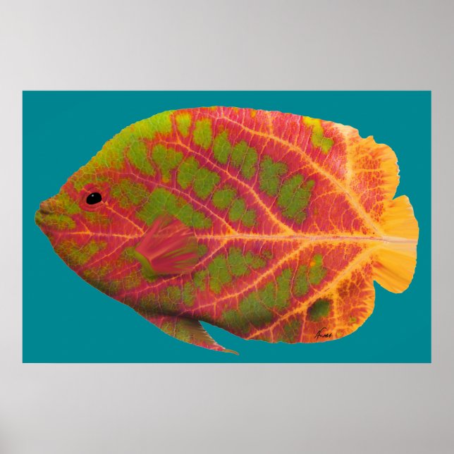 Póster Pescado tropical de hoja de ave 1 (Frente)