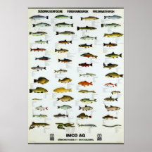 Pescado Vintage Repro. Imprimir