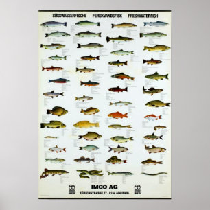 Póster Pescado Vintage Repro. Imprimir