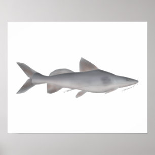 Póster Pescador de bigote largo