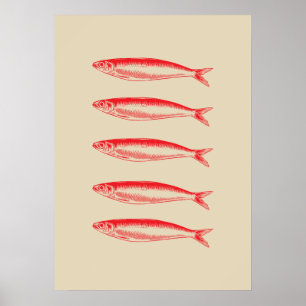Póster Pescador de Sardines