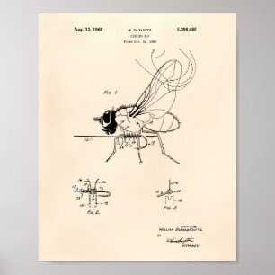 Póster Pescador Fly 1968 Patente Art Old Peper