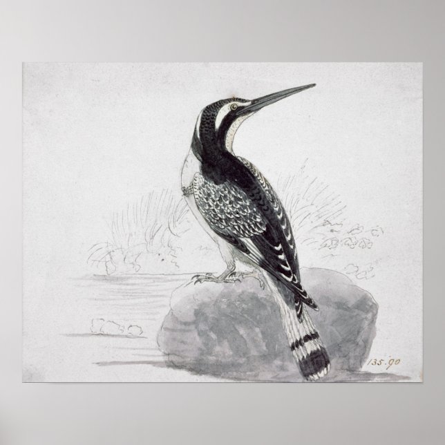 Póster Pescador negro y blanco (Frente)