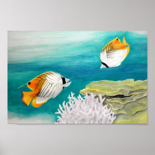 Póster Pescados del ángel