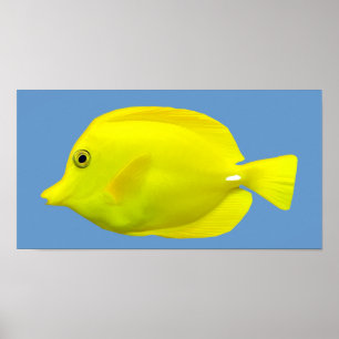Póster Pescados tropicales amarillos de Tang