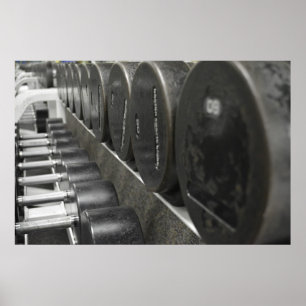 Póster Pesos libres