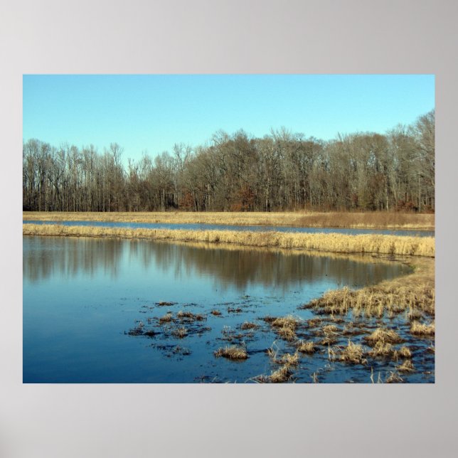 Póster Pestoso (Frente)